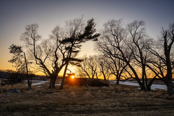 winter sunshine