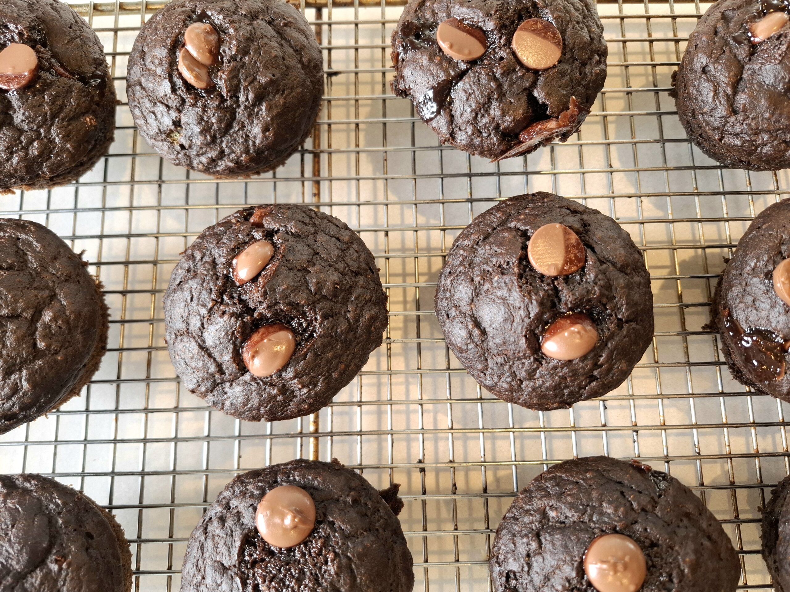 Veggie Chocolate Muffins